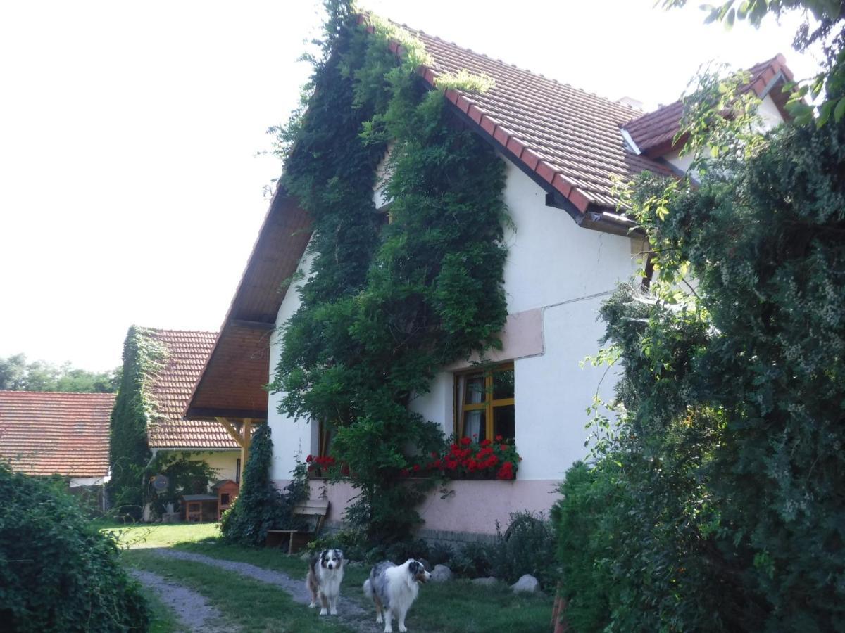 Farma Zahradnice Olbramovice  Zewnętrze zdjęcie